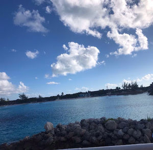 Meet your Posher, Riley